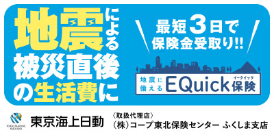 東京海上日動 Equick保険