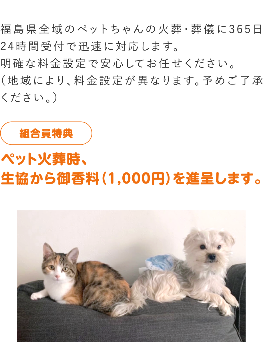 生協へお申し込みいただき、入校された方全員に10,000円のコープギフト券(お買い物券)プレゼント!
※入校される学校によって特典が異なりますので、詳しくはお問い合わせください。
※組合員特典と各種キャンペーンとの併用はできません。
