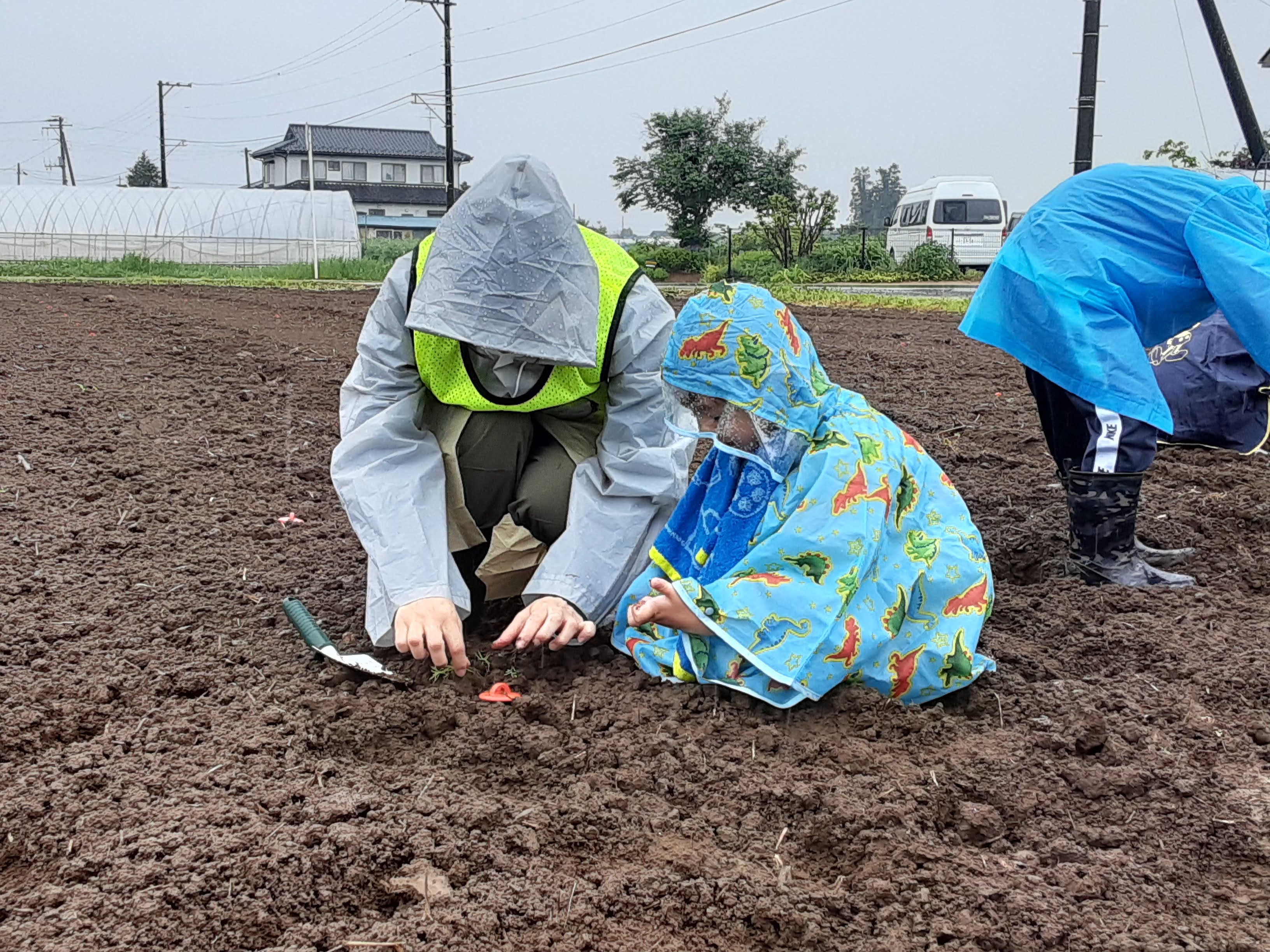 丁寧に植えていきます