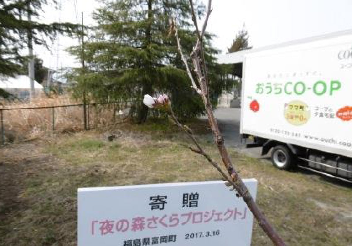2019年桜開花