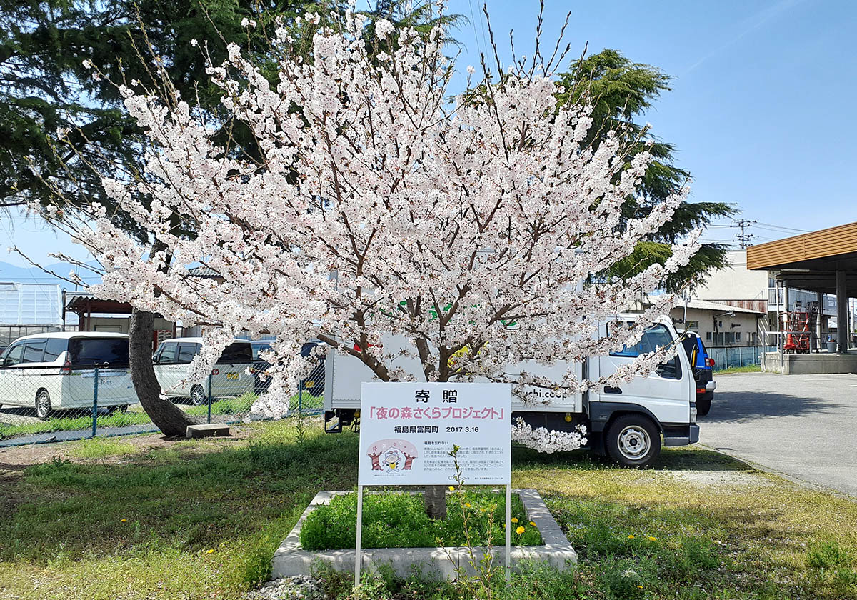 2025年4月8日撮影