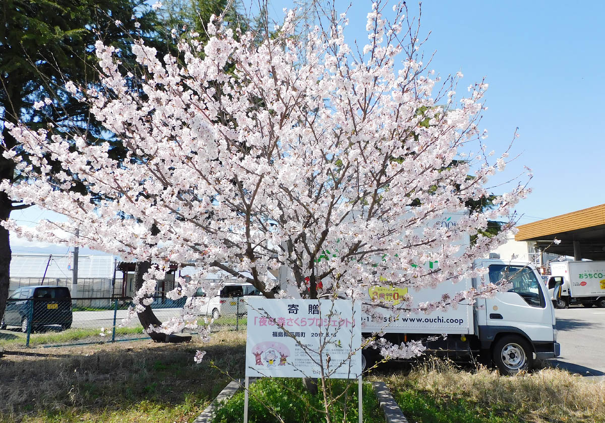2026年3月26日撮影