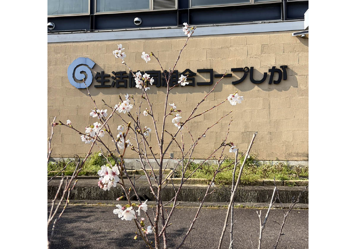 2026年4月3日撮影